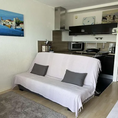 Climatise Avec Terrasse, 4 Couchages, Proche Et Commerces - Fr-1-250-307