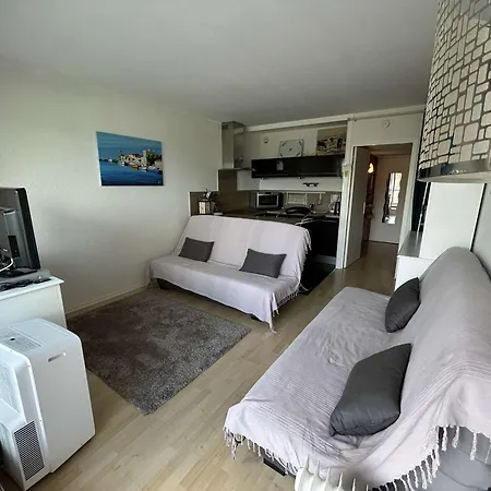 Апартаменты Climatise Avec Terrasse, 4 Couchages, Proche Et Commerces - Fr-1-250-307