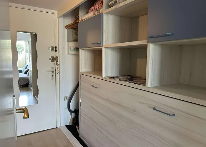 Апартаменты Climatise Avec Terrasse, 4 Couchages, Proche Et Commerces - Fr-1-250-307 Ле-Гро-дю-Руа