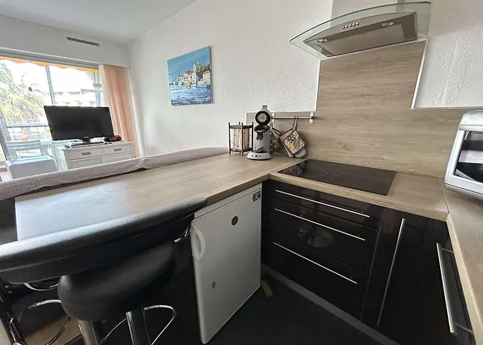 Climatise Avec Terrasse, 4 Couchages, Proche Et Commerces - Fr-1-250-307 Апартаменты